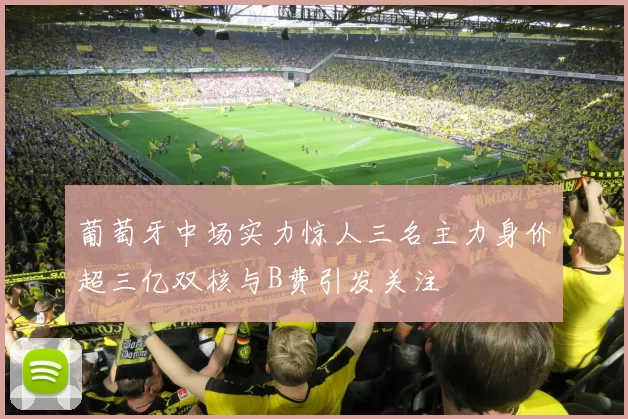 葡萄牙中场实力惊人三名主力身价超三亿双核与B费引发关注
